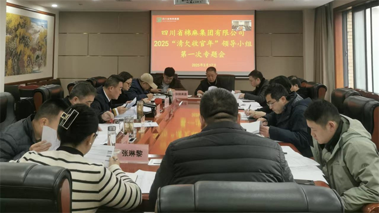 集團(tuán)公司召開(kāi)2025“清欠收官年”領(lǐng)導(dǎo)小組第一次專(zhuān)題會(huì)
